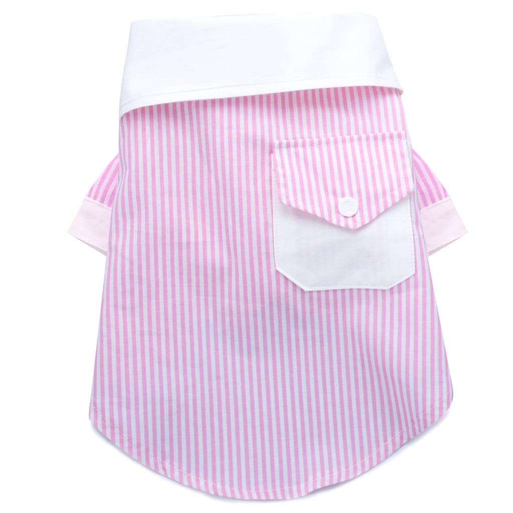 Cool Pups French Contrast Striped Dress Shirt in Pink for Dogs by United Pups