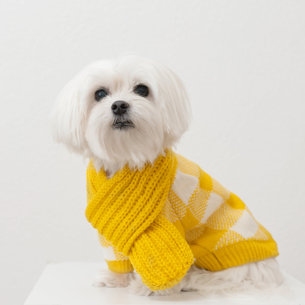 United Pups Chill Pups Yellow Plaid Sweater with Scarf