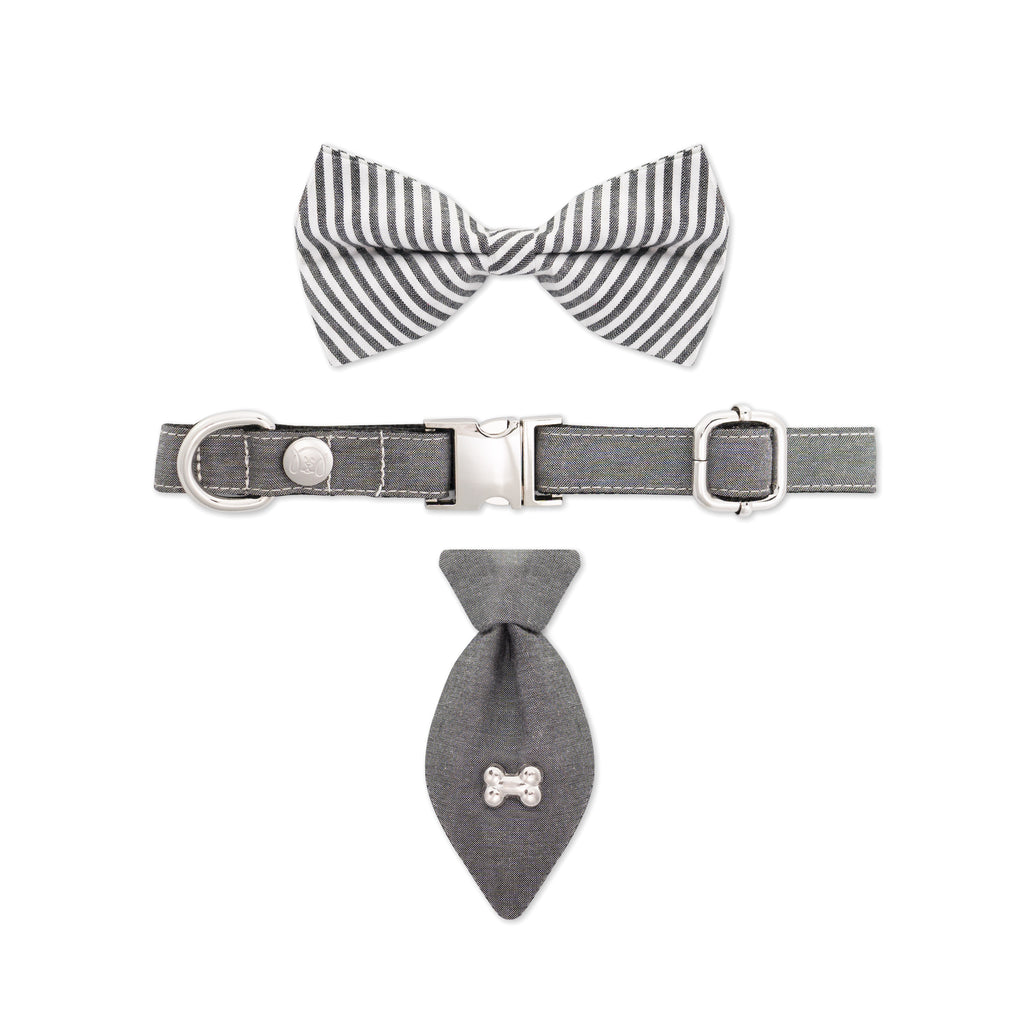 Modern Pups Gray Collar and Fancy Ties Set by United Pups