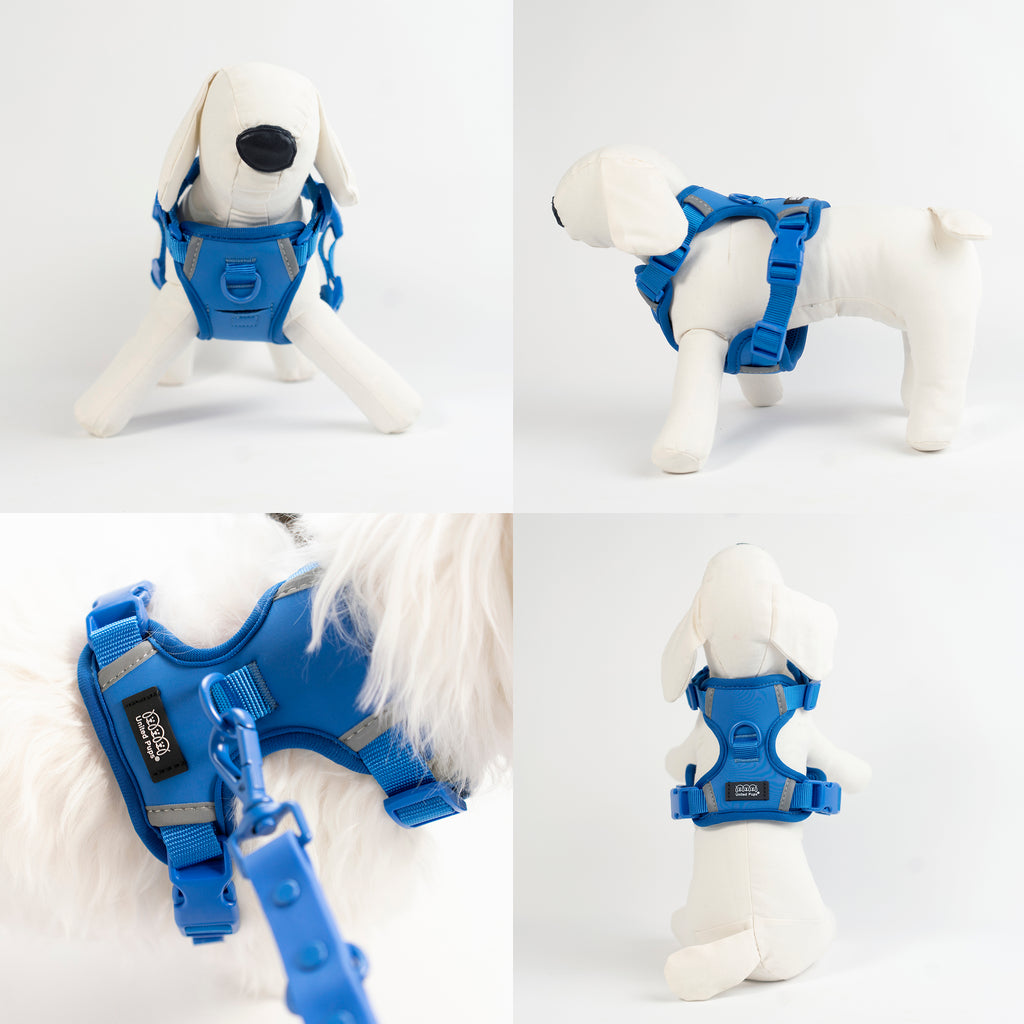 United Pups Chill Pups Blue Designer Dog Harness with Tracking Pocket