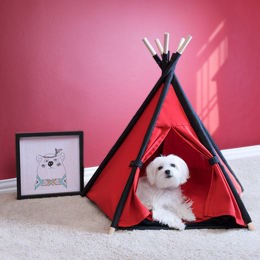 Cool Pups Designer Pet Teepee Tent with Matching Cushion Bed