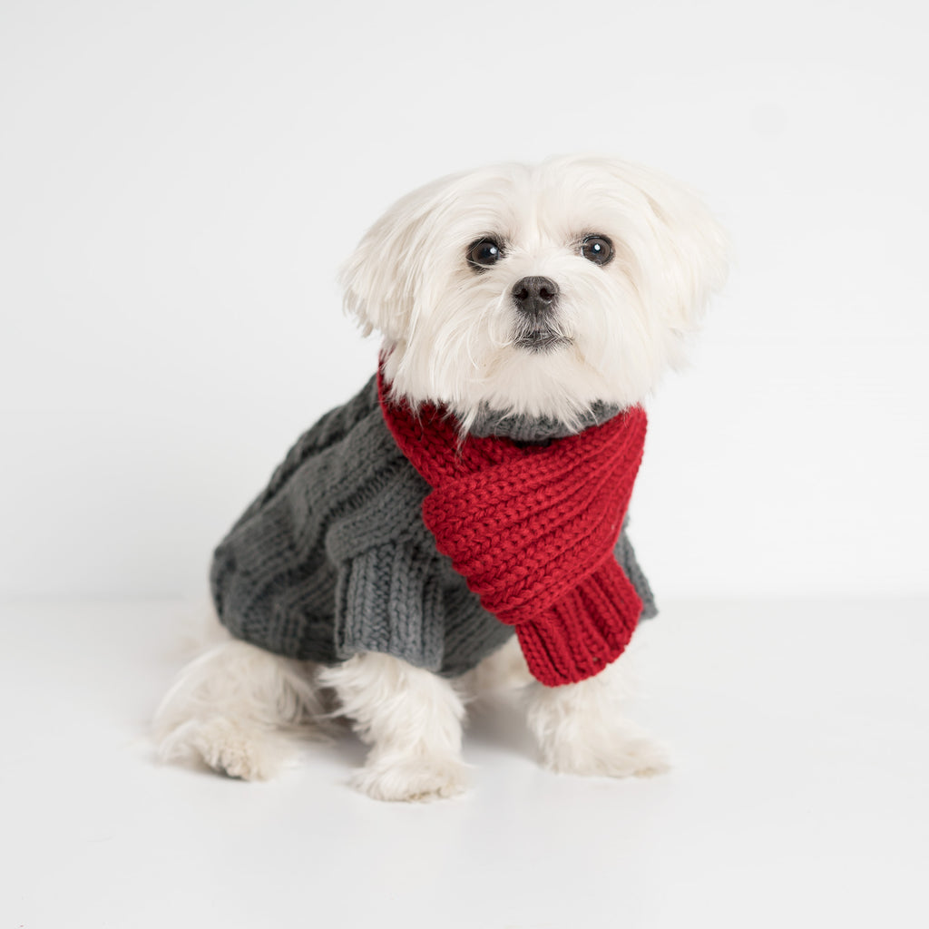 Modern Pups Gray Cable Sweater with Scarf by United Pups