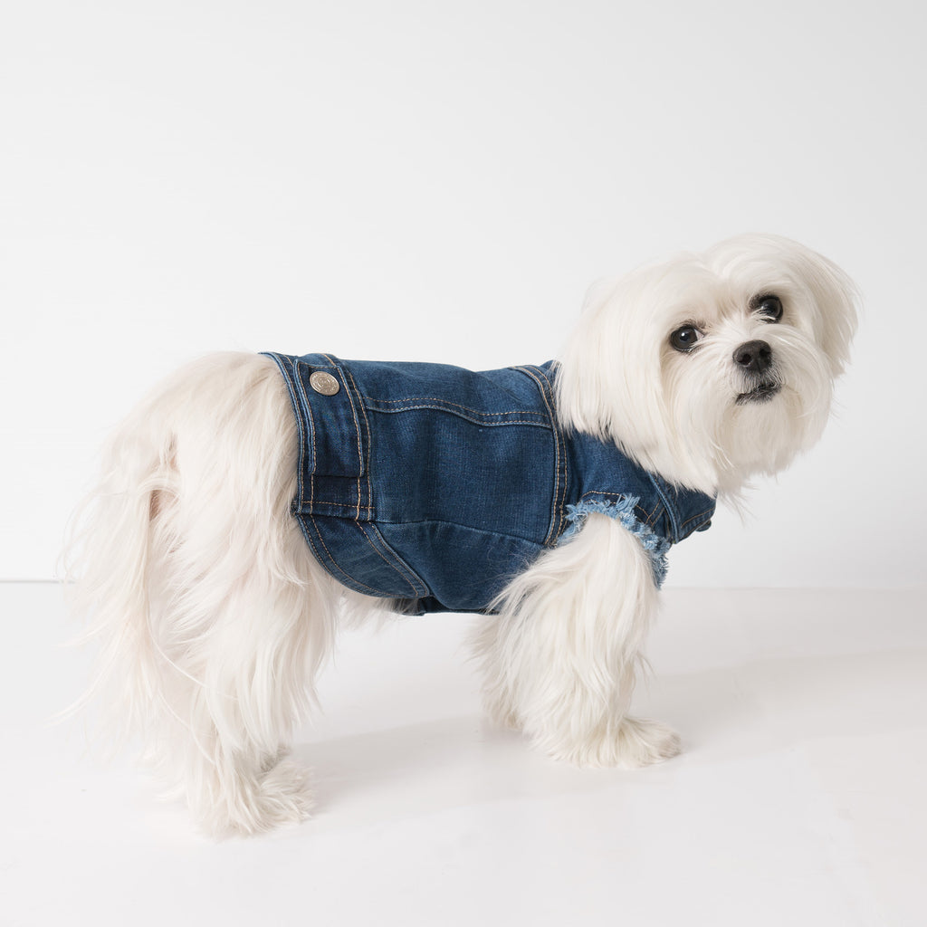Chill Pups Denim Blue Fashion Jean Jacket for Dog from United Pups