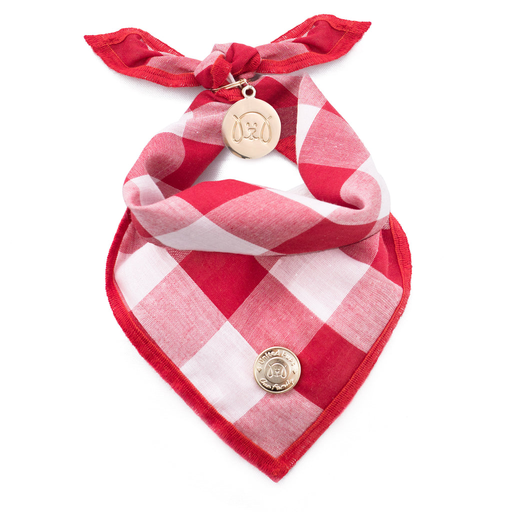 Cool Pups Red Gingham Bandana with Accessories For Dogs by United Pups