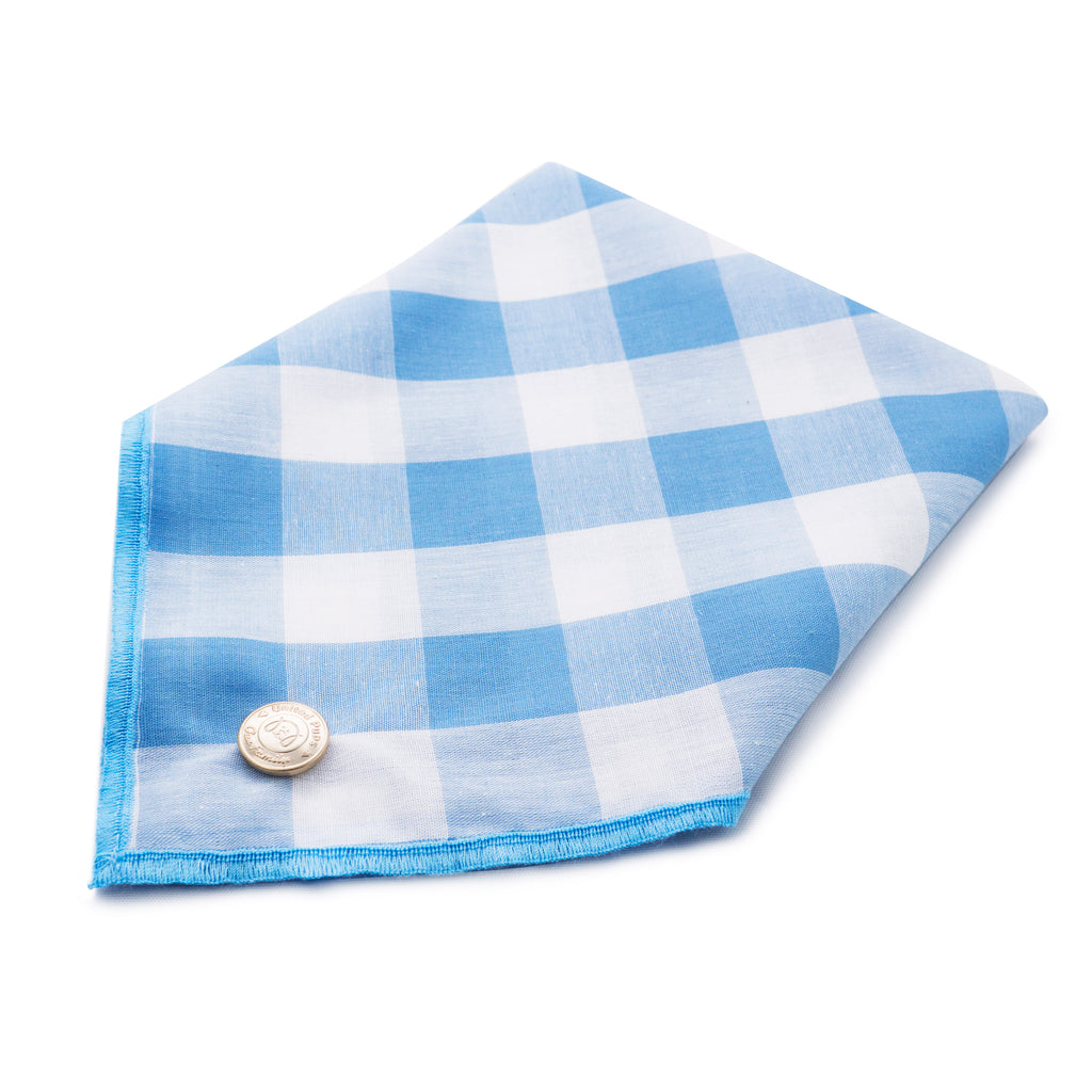 Chill Pups Blue Gingham Bandana with Accessories For Dogs by United Pups
