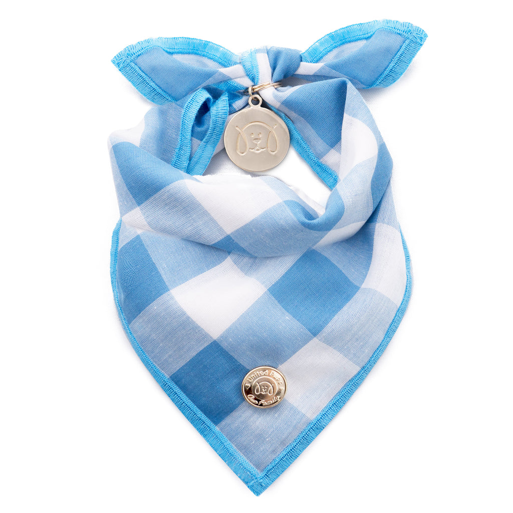 Chill Pups Blue Gingham Bandana with Accessories For Dogs by United Pups