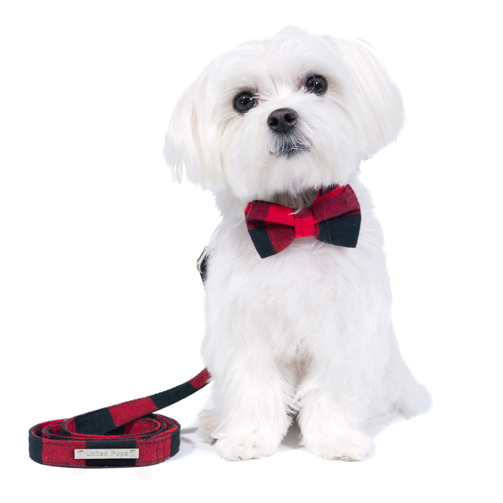 Cool Pup Red Gingham Plaid Collar with Bow Tie and Leash for Dogs by United Pups