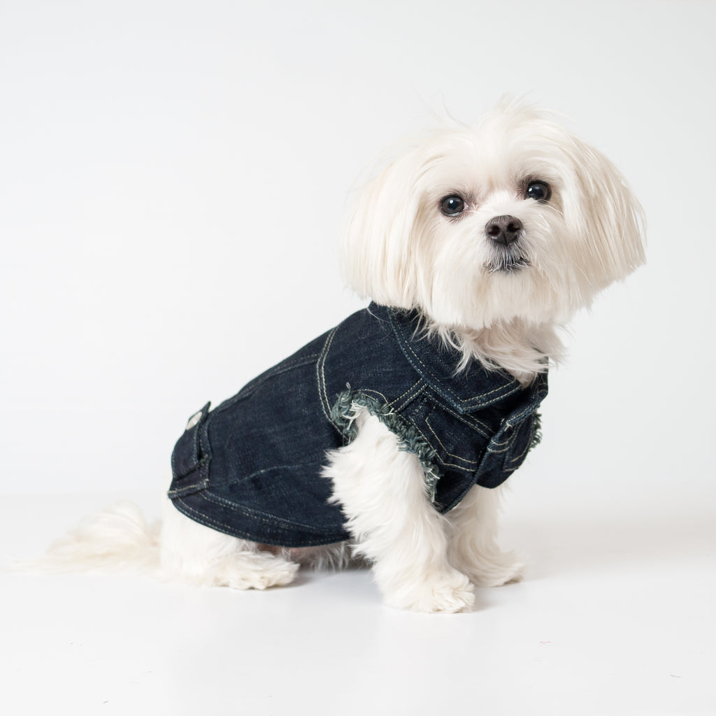 Chill Pups Navy Blue Fashion Jean Jacket