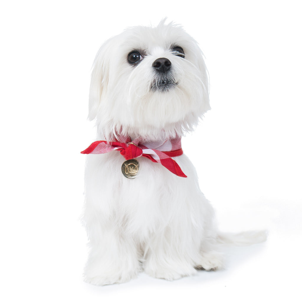 Cool Pups Red Gingham Bandana with Accessories For Dogs by United Pups