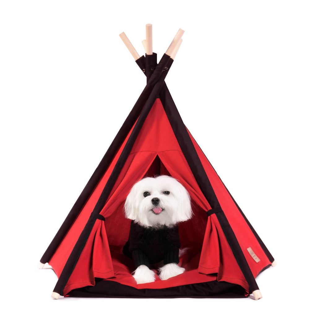 Cool Pups Designer Pet Teepee Tent with Matching Cushion Bed