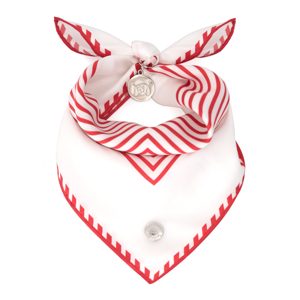 Cool Pups Red Silk Striped Bandana with Accessories by United Pups