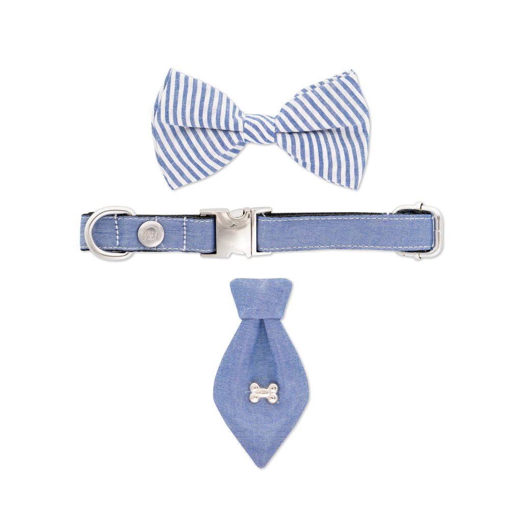 Chill Pups Blue Collar and Fancy Ties Set by United Pups