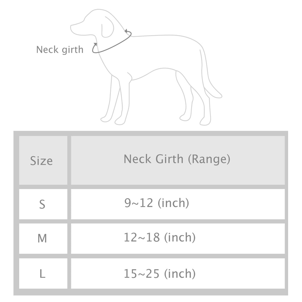 Modern Pups Gray Collar and Fancy Ties Set